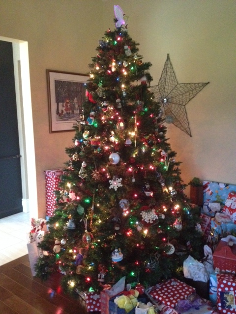 We went home for&nbsp;Christmas!