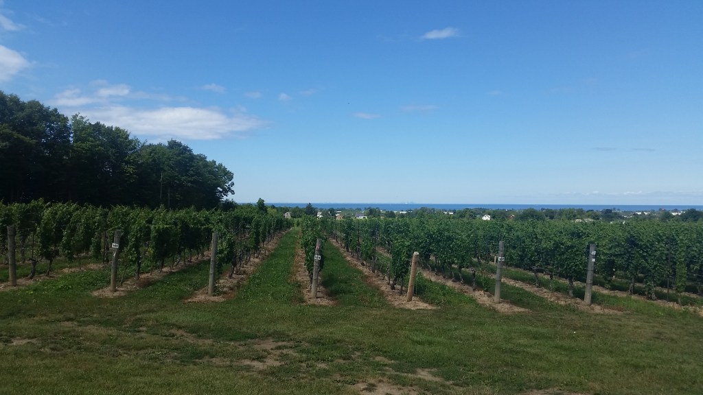 Exploring your backyard when you live in Wine&nbsp;Country