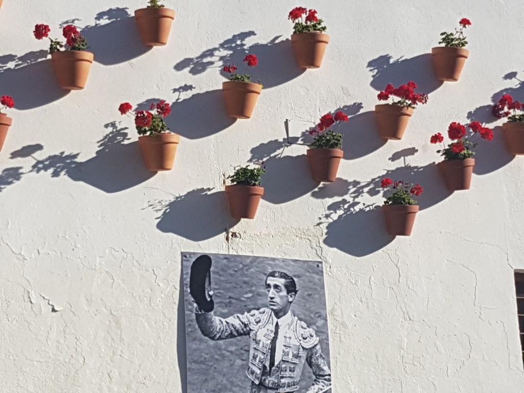 Days 6 and 7 in Spain – Exploring the Festival of Patios in&nbsp;Cordoba!