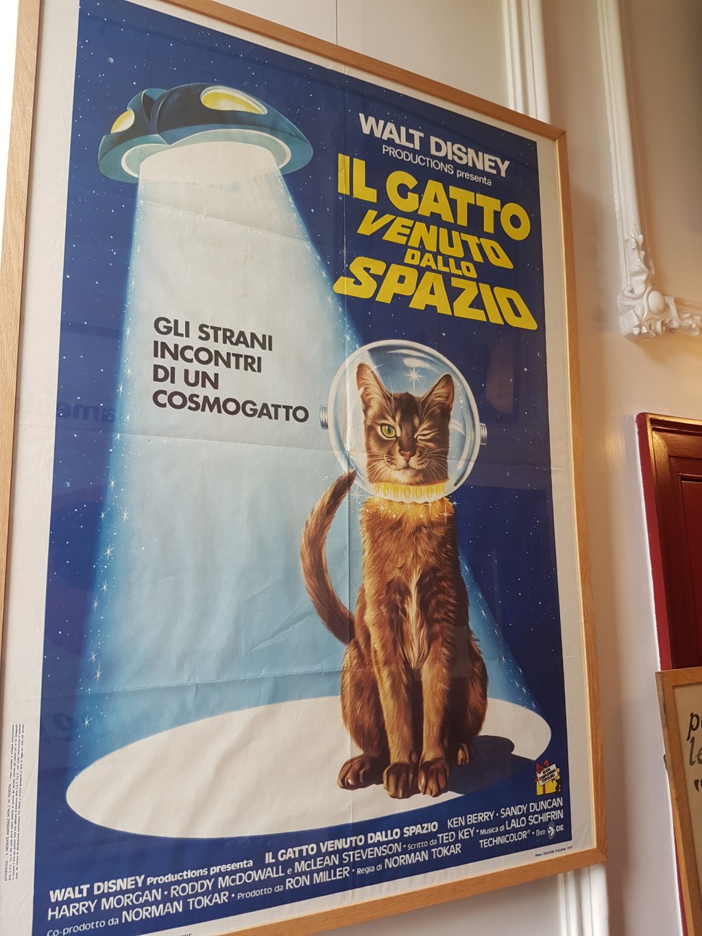 Day 3 in Amsterdam – Visiting the Cat&nbsp;Museum