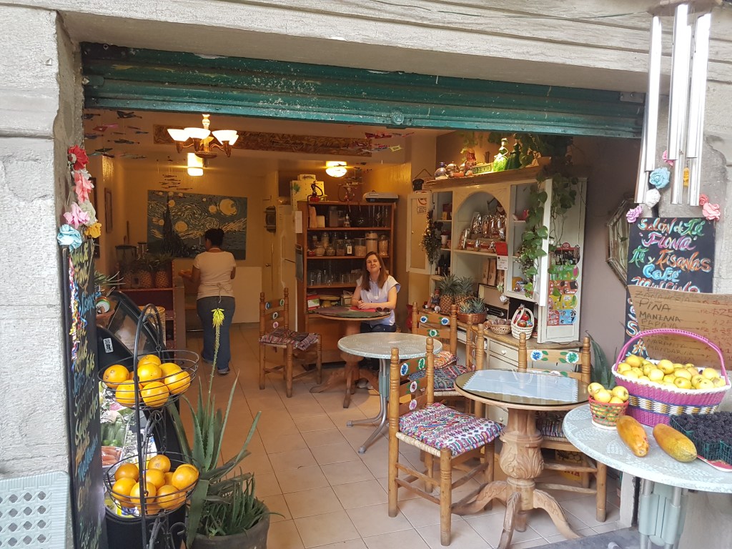 Our home away from home in the Condesa Aurora&nbsp;Sunroom!